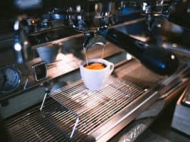 High-Performing Café Franchise with $1.1M+ Sales with trained staff