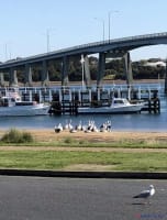 Proven Coastal Retail Business in Prime Location