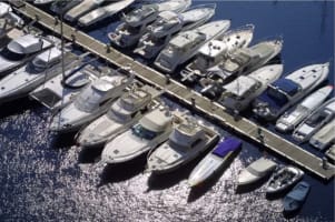 Premier Marine Business in the Whitsundays