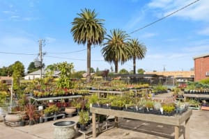 Multiflora Nursery - Colac (IWR2646)