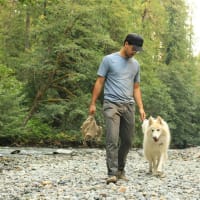 Lifestyle Dog Walking Business