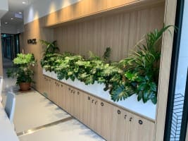 High-Margin Plant Service Business