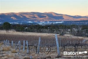 Ballandean Estate - QLD's Oldest Operated Winery, Est. 1932