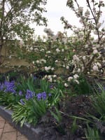 Freehold + Proven Hospitality Business in Meander Valley