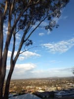 Specialist boutique Strata Management agency in Wagga Wagga