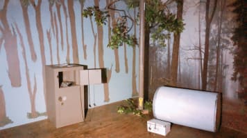 Popular Amusement Business in Sydney CBD - Fantastic Growth Opportunities.