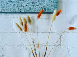 Xopkj8m5u3stvvov9isi