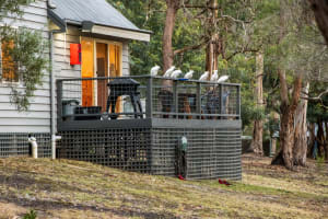 Xpwzogshrled1jub1mqr