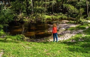 Agriculture, Recreation and Luxe Accommodation Development Opportunity