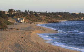 Lifestyle Cafe For Sale