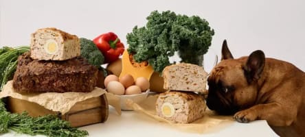 Xstj0vkqgiuxr49cu68y