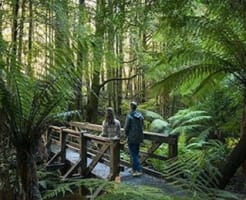 Boutique Accommodation Retreat + Freehold - Dandenong Ranges