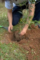 Established Environmental & Forestry Services Provider