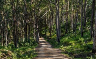 Agriculture, Recreation and Luxe Accommodation Development Opportunity