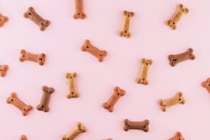 Highly Profitable E-Commerce Pet Supply Business | $300k EBIT | Melbourne Metro [2603061]