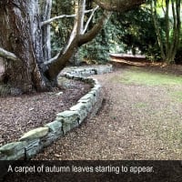HERITAGE SEED BANK and OPEN GARDEN