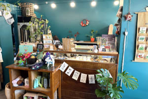 LEASEHOLD - Seed & Bloom Flower Store, Wangaratta - 1P0586