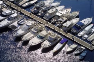 Premier Marine Business in the Whitsundays