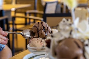 Fully Managed Long-established Ice Cream Shop Near Chadstone [2601191]