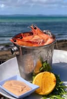 Iconic tourist destination - Reefworld Hervey Bay