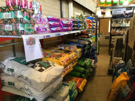 Thriving Business in the Golden Triangle