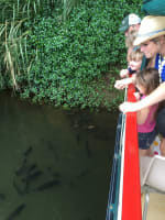 The closest Wet Tropics World Heritage river-based experience to Cairns