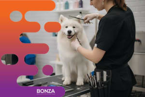 36626 Profitable & In Demand Dog Daycare & Grooming Business