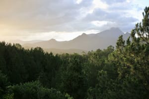 Picture Framing - Fine Art Printing - Art Gallery