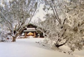 ICONIC LOG CABIN TEA HOUSE RESTAURANT WITH TOP VIEWS UNDER MT GLADSTONE LOOKOUT