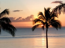 Ye8mbtdev7pyic1pdluc