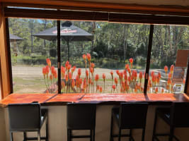 A TRUE TASMANIAN TOURISM GEM