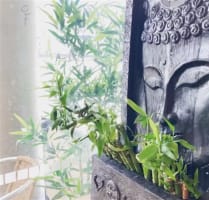 Thriving Vegetarian Restaurant with Beautiful Fit-out