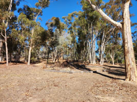 Yfq6zynfmgwzwr2s4cw9