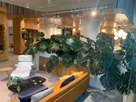 High-Margin Plant Service Business