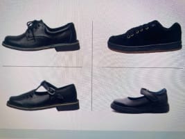 Importer Wholesaler (GLJCS2518)