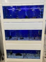 Northam's Only Pet Store For Sale