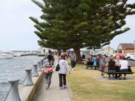 Yl4pka2wdcplrgvuqf7r