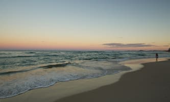Absolute Beachfront Management Rights - Surfers Paradise Icon | Resort Brokers ID : MR009253