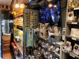 Yogqwazfbrih1qshdpxh