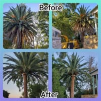 Dynamic Woodsman of Waikerie - A Rare Opportunity - Expressions of Interest