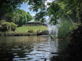 Profitable Restaurant for Sale - Tamborine Mountain QLD