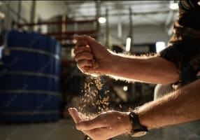 Home Brewing Retail Business - Brisbane Northside - WIWO