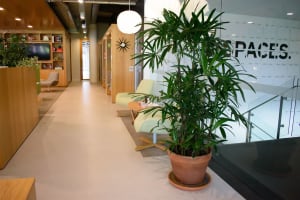 High-Margin Plant Service Business