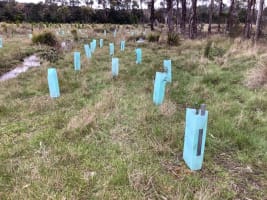 Established Environmental Services Provider