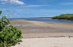 Caravan Park (Freehold) on the Fraser Coast