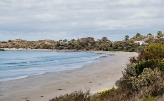 Port Fairy Bed and Breakfast Gold