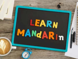 Trusted Sydney Language School with Growth Upside