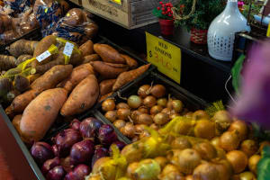 SPECIALTY GROCERY STORE ESTABLISHED IN 1969