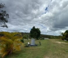 NATURES ENGINEERING WONDER PLANT