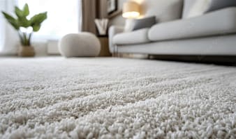 JUST LISTED! Branded Carpet, Flooring and Window Furnishing